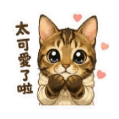 小美喵保庇2