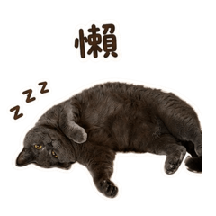 5歲的凍小胖