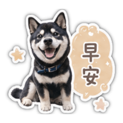 我家狗狗錢