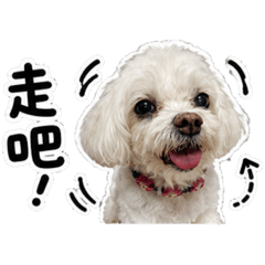 小天使BOBO生活用語