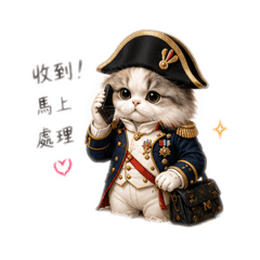 拿破崙貓上班日常