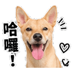 芋泥豪
