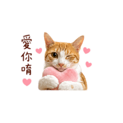 咪嚕-粉粿日常