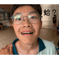 哲哲柏柏豪豪