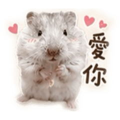 倉倉咬一口的店長日常