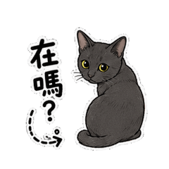 Gary 01