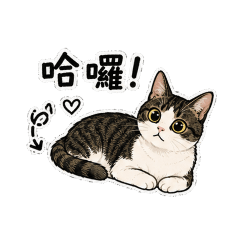 小圓 01