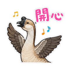 禽鳥的療癒用語