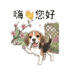 Jen Jen喜歡