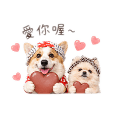 球球與樂樂1