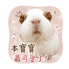 傲嬌公主來啦