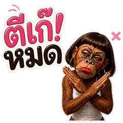 ลูซี่ ลิงสวยเเริ่ด (Big)