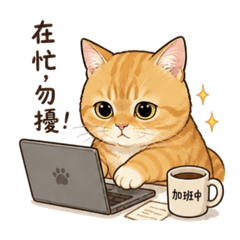 橘子的職場生活