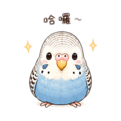 麻糬鳥鳥