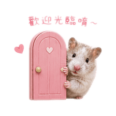 歡迎用語