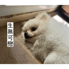 雪球球球球球球球球球