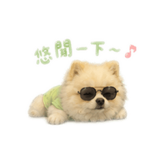 我是一隻可愛的小皮蛋 3