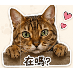 林咻咻