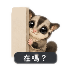 鼯的快樂日常