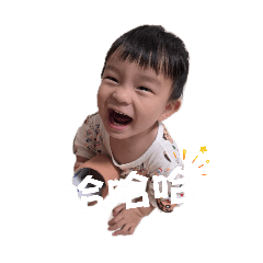 樂寶系列
