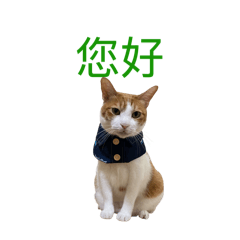 角色扮演豆奶妹 系列