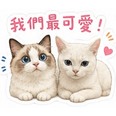 卡哇伊兄妹喵