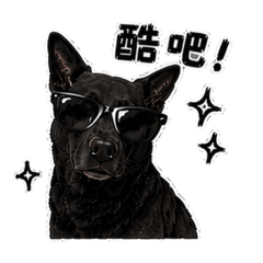 歐歐拉S Go