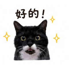 想念的迪迪