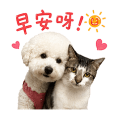摸摸小朋友