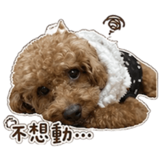 寶弟耍廢篇
