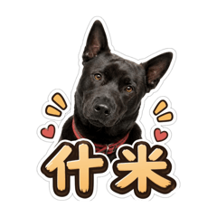 黑狗麻吉