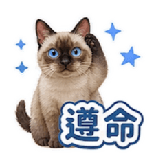 暹羅貓小白_5_積極上班篇(含謝謝、對不起）