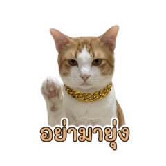 Chuennapha_20260502094249