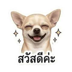 TA_20260502100202