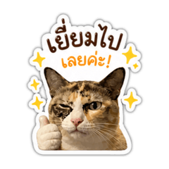 Ying_20260502101018