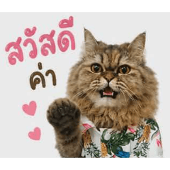 Song_20260502100645