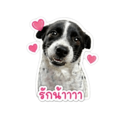 ATOM_20260502102652