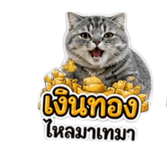 Tunparuay