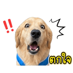 mali_20260502105356