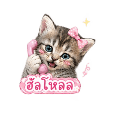 Amy_20260502110429