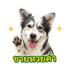 Mymim_20260502111609