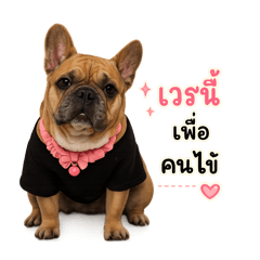 Artee_20260502111924