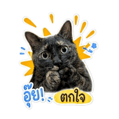jidapa deetao_20260502112037