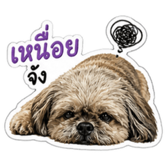 Little boy_20260502112038