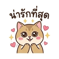 Mochi cat_20260502111437
