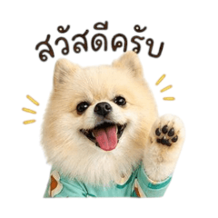 little dog family day