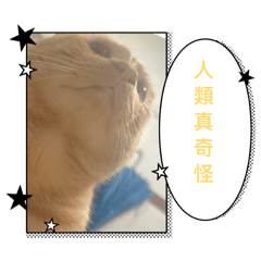 動物星球我們的好朋友
