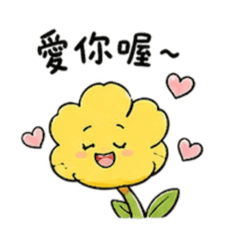 Cute Flowers daily