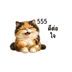 Ratchaneeporn_20260502113837