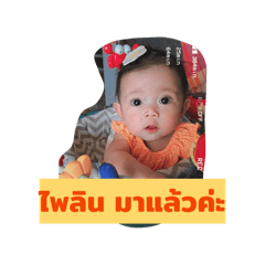 PailinY.1